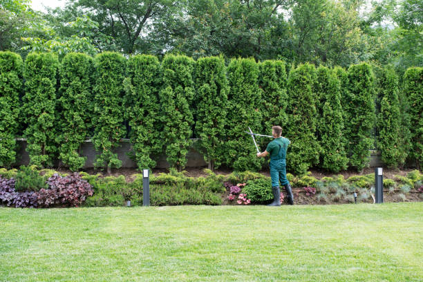 Best Lawn Irrigation Installation and Maintenance  in Glendale, WI